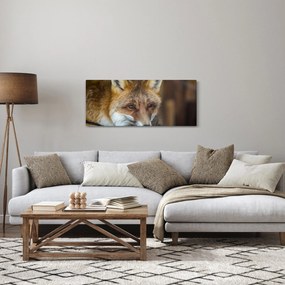 Tablou cu vulpe (120x50 cm)
