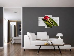 Tablou - Lalea roșie (90x60 cm)