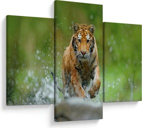 Tablou - Tigru care aleargă (90x60 cm)