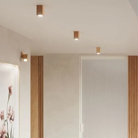 Spot de perete KEKE 1xGU10/40W/230V stejar Sollux SL.1035