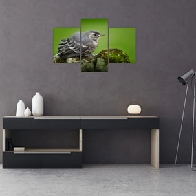 Tablou - Muscarul (90x60 cm)