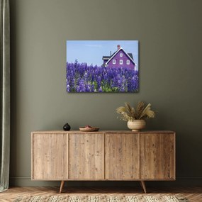Tablou cu câmp de lavanda (70x50 cm)
