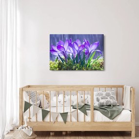 Tablou cuflori în ploaie (90x60 cm)