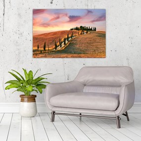 Tablou - Casa pe deal Toscana, Italia (90x60 cm)
