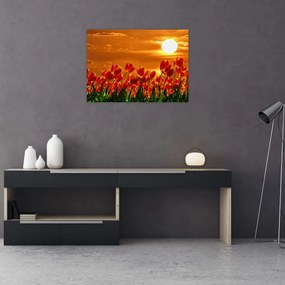 Tablou pe sticlă - lan înflorit de lalele (70x50 cm)