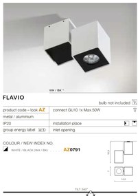 Plafoniera cu spot directionabil tavan/plafon FLAVIO 1