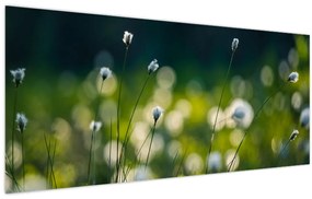 Tablou - Iarbă (120x50 cm)