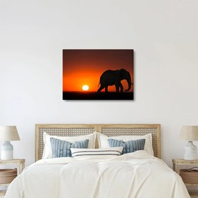 Tablou cu elefant în apus de soare (70x50 cm)