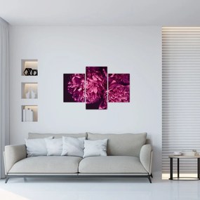 Tablou - Floarea bujorului (90x60 cm)