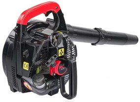 Suflantă/aspirator de frunze pe benzină RTODL0058