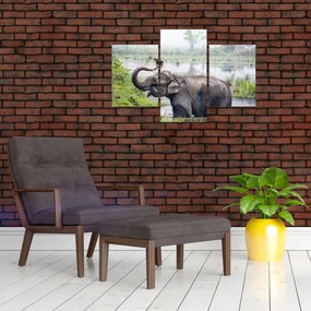 Tablou - Elefant de scăldat (90x60 cm)