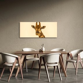 Tablou cu girafe (120x50 cm)