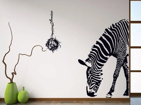 Autocolant de perete "Zebră" 100x95 cm
