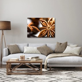 Tablou - Anason (70x50 cm)