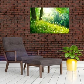 Tablou - Pajiște magică plină de păpădii (90x60 cm)