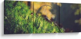 Tablou - Ciupercă și muschi (cu ceas) (90x30 cm)