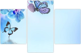 Tablou - Fluture pe flori de orhidee, albastru (90x60 cm)