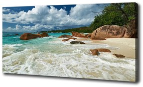 Tablou pe pânză Plaja seychelles