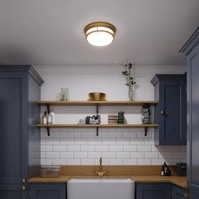 Hinkley HK-HADLEY-F-BR HADLEY - plafonieră pentru baie 3xE27/40W/230V IP44, aurie