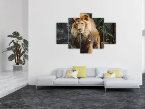 Tablou cu leu în natură (150x105 cm)