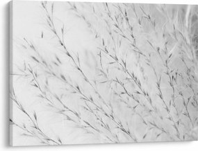 Tablou - Iarbă de pampas N⁰2 (70x50 cm)