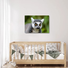 Tablou pe sticlă cu lemur (70x50 cm)
