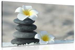 Tablou pietre armonice și floare plumeria