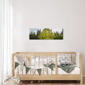 Tablou - Copac verde în câmp (cu ceas) (90x30 cm)