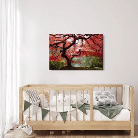 Tablou - Arțarul japonez roșu, Portland, Oregon (90x60 cm)
