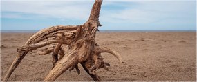 Tablou - Inundație de mare (120x50 cm)