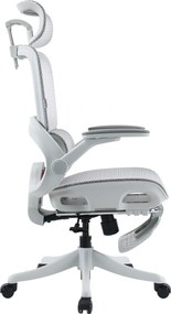 Scaun ergonomic SIHOO B100-PRO, cotiere 4D, tetiera 3D, mecanism multifunctional inclinare/blocare, suport picioare, pivotant, Mesh, Gri
