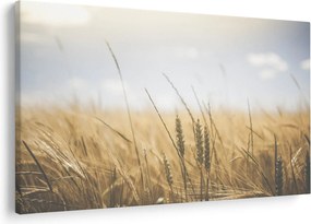 Tablou cu grâne (90x60 cm)