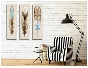 Tablou din 3 piese pe pânză Feathers