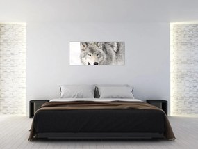 Tablou - Lupul în natură (120x50 cm)