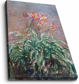 Tablou 678CLD1109, multicolor, panza, 45x70 cm