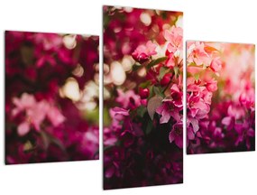 Tablou cu florile tufișului înflorit (90x60 cm)
