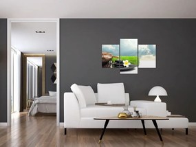 Tablou - Spa and relax (90x60 cm)