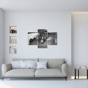 Tablou - Cai îndrăgostiți,alb-negru (90x60 cm)