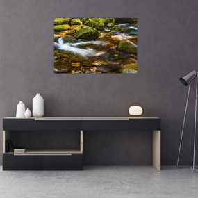 Tablou cu părâu (90x60 cm)