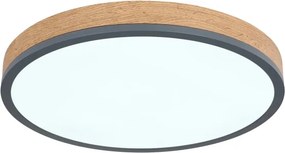Globo 416080WD2R-CCT-LED Plafonieră DORO dimmabilă 24W/230V 3000-6500K diam. 45 cm