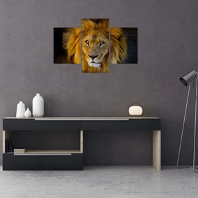 Tablou - Portret de leu (90x60 cm)