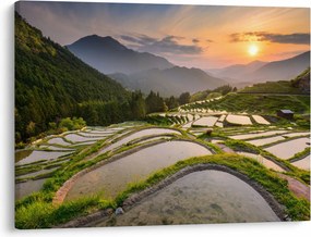 Tablou - Terase de orez (70x50 cm)
