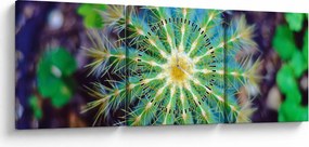 Tablou cu cactus (cu ceas) (90x30 cm)