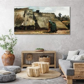 Tablou canvas Desen case de sat