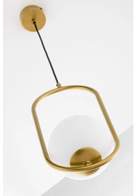 Lustră pe cablu Jupiter 2042 IGON 1xE14/40W/230V auriu