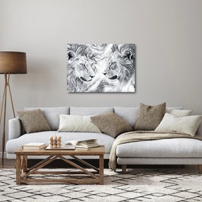 Tablou - Capete de lei desenate (70x50 cm)