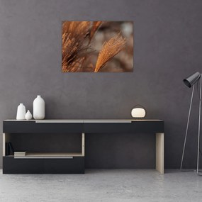 Tablou - Cortaderie (70x50 cm)