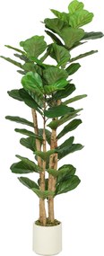 HOMCOM Plantă Artificială Ficus Lyrata 150 cm - Verde | Aosom Romania