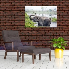 Tablou - Elefant de scăldat (90x60 cm)