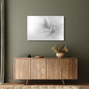Tablou - Crin delicat (90x60 cm)